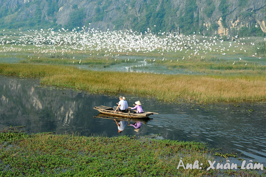 Khu bảo tồn thiên nhiên đất ngập nước Vân Long nhận chứng chỉ Danh lục Xanh  | baoninhbinh.org.vn