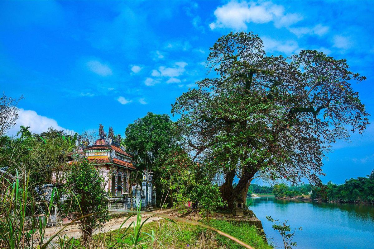 Khám phá hương xưa làng cổ Phước Tích ở vùng đất cố đô Huế | Điểm đến |  Vietnam+ (VietnamPlus)