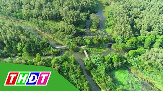 Khu bảo tồn thiên nhiên đất ngập nước lung Ngọc Hoàng - Hậu Giang | THDT -  YouTube
