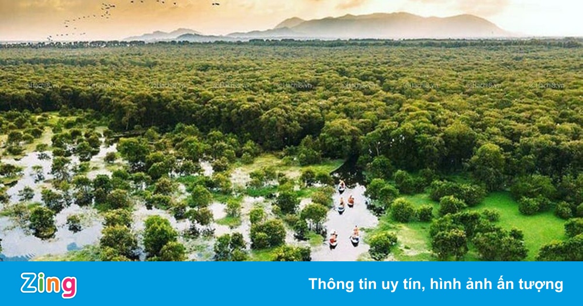 256 ha rừng tràm ở An Giang thành khu du lịch sinh thái - Du lịch