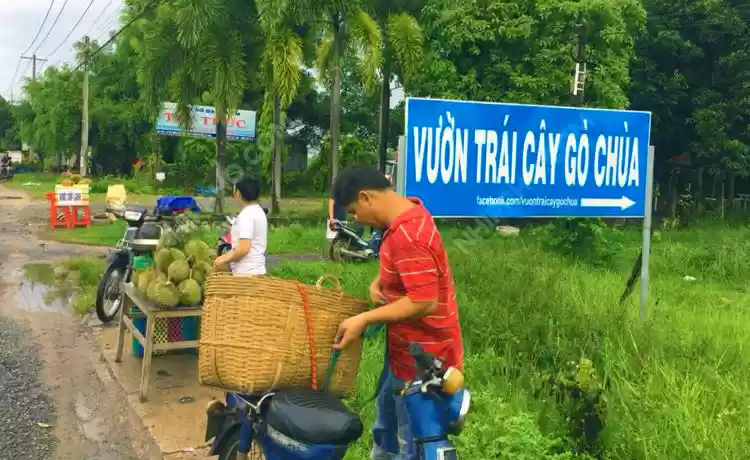 Điểm đến Tây Ninh: Vườn Trái Cây Gò Chùa Tây Ninh®Hitour