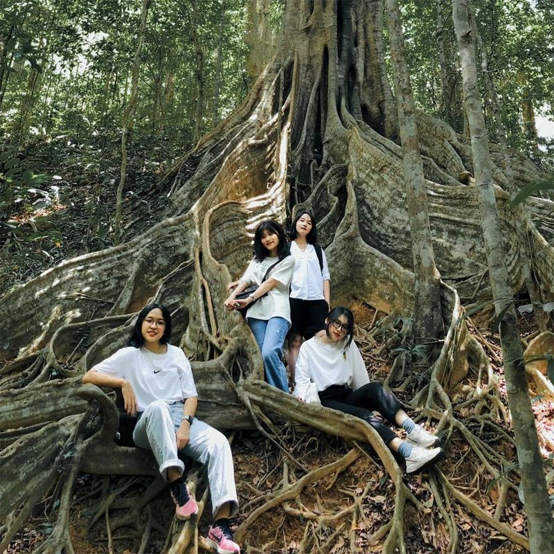 Vườn Quốc Gia Kon Ka Kinh Gia Lai - Khám Phá Bất Ngờ Thú Vị