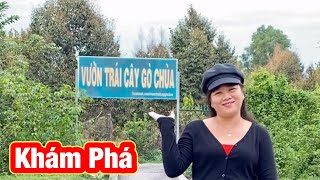 Đi Vườn Trái Cây Sầu Riêng Chôm Chôm GÒ CHÙA Gò Dầu Tây Ninh | Hà Anh  Family #64 - YouTube