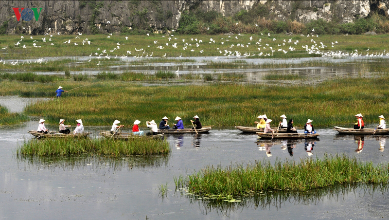Khám phá vẻ đẹp đầm Vân Long - khu bảo tồn thiên nhiên đất ngập nước