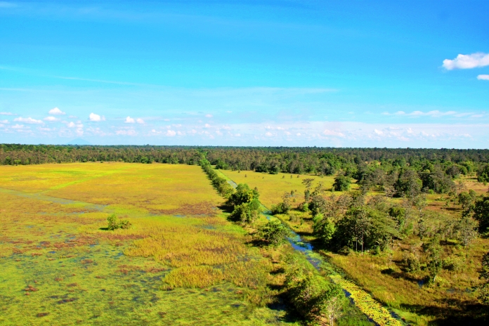 Vườn quốc gia Lò Gò - Xa Mát Lá phổi xanh của Đông Nam Bộ