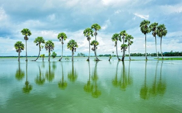 Búng Bình Thiên – Hồ nước ngọt trời ban ở An Giang