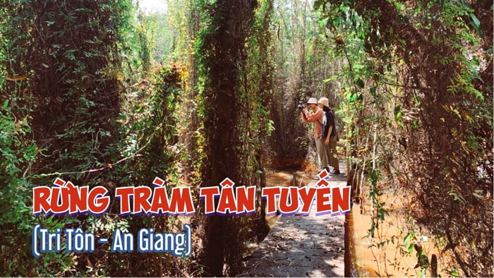 Khám phá rừng tràm Tân Tuyến mới toanh ở An Giang