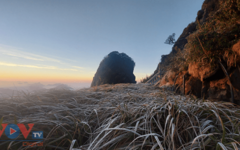 Lào Cai: Sương muối phủ trắng đỉnh Fansipan