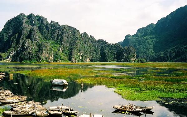 Khu bảo tồn đất ngập nước Vân Long | Yong.vn