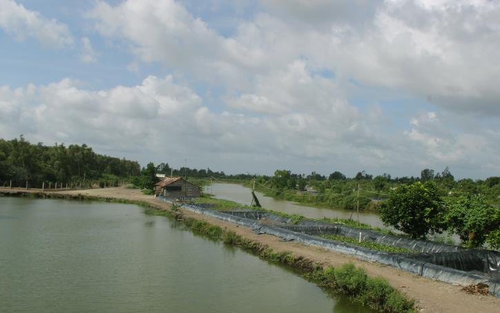 Rừng tràm nước phèn Hậu Giang: Khu du lịch sinh thái lớn nhất Đồng bằng  sông Cửu Long