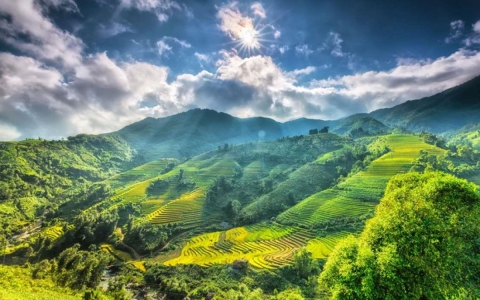 Sa Pa, Đà Lạt vào top địa điểm du lịch mùa xuân đẹp nhất châu Á