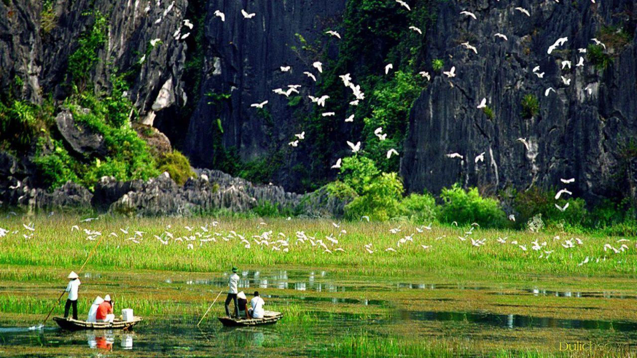 Giá vé khu du lịch sinh thái vườn chim Thung Nham Ninh Bình 2022