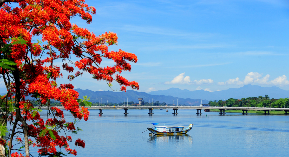 Phượng khoe sắc đỏ bên dòng sông Hương - VnExpress Du lịch