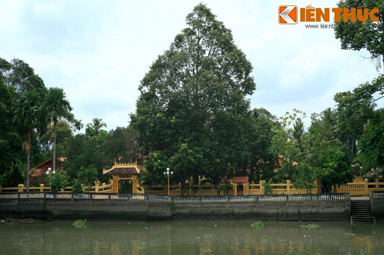 Chùa Nam Nhã - ngôi chùa nửa Tây nửa Ta ở Cần Thơ - Cảm nhận Việt Nam