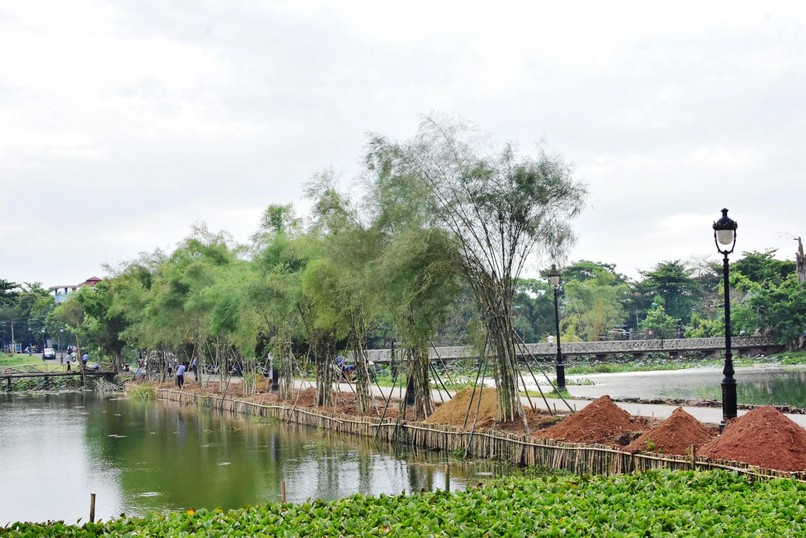 Đưa hồ Tịnh Tâm trở lại là điểm đến hấp dẫn cho du khách - Báo Thừa Thiên  Huế Online