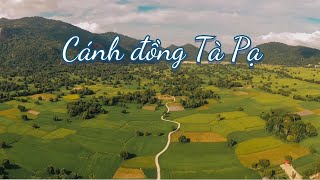 Chiêm ngưỡng Cánh Đồng Tà Pạ đẹp như tranh vẽ ở Tri Tôn, An Giang - YouTube