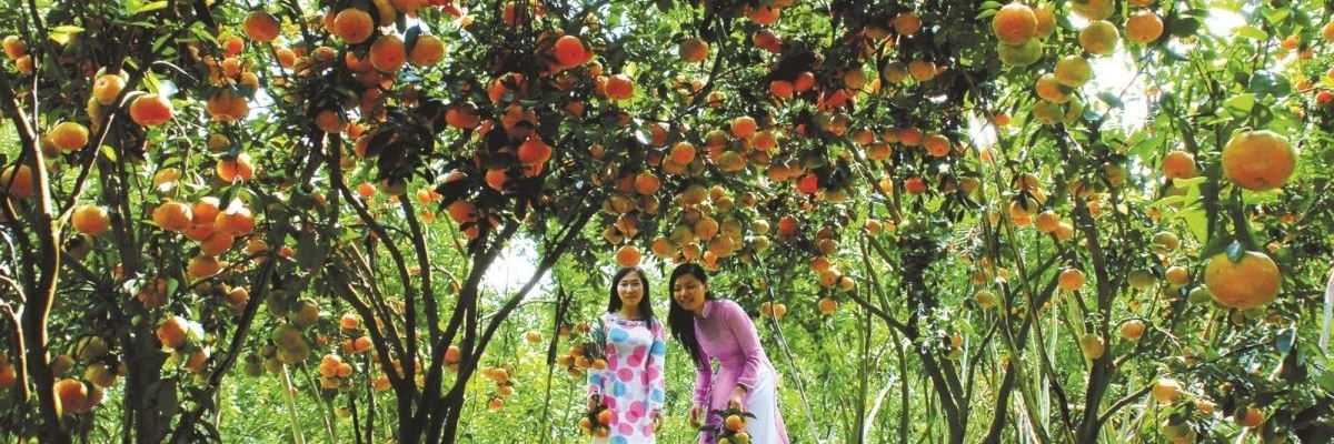 Vườn Trái Cây Gò Chùa, Tây Ninh