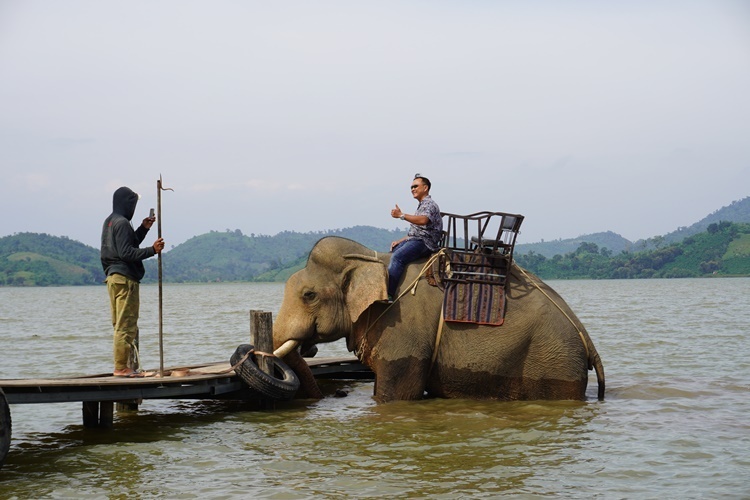 Sẽ dừng hoạt động du lịch cưỡi voi ở Đắk Lắk