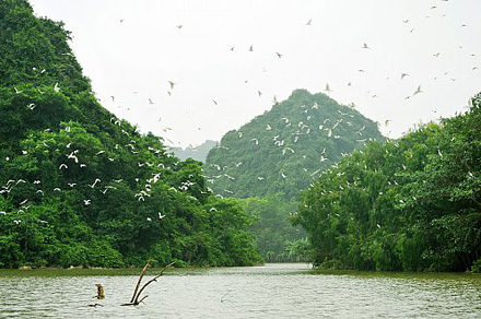 Người khai phá khu du lịch sinh thái Thung Nham | baoninhbinh.org.vn
