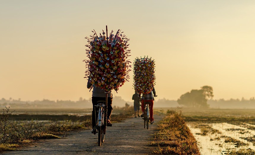 Làng hoa giấy lâu đời ở Huế
