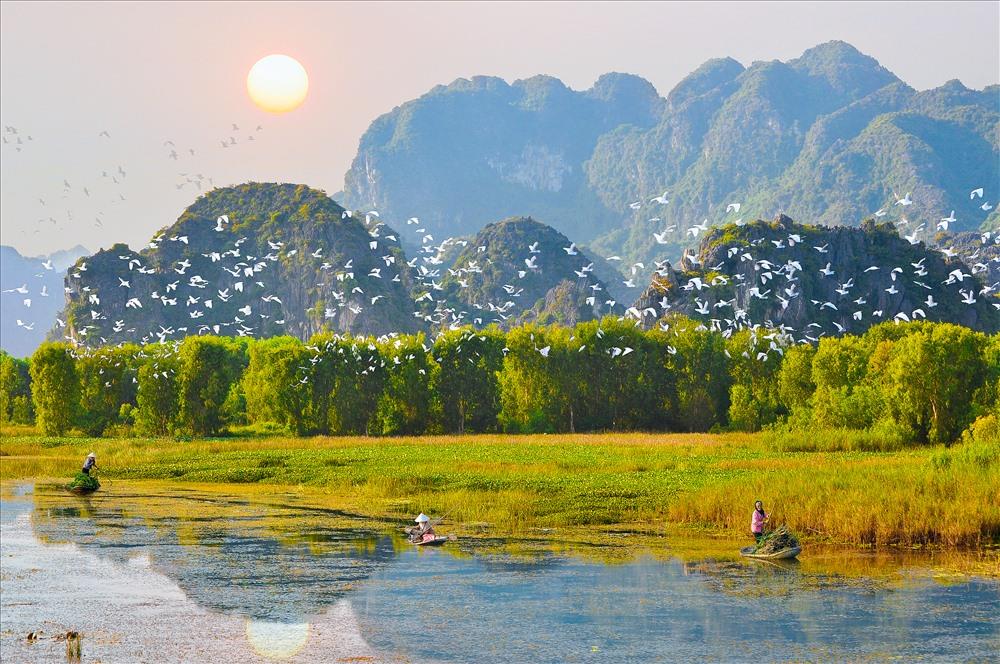 Kinh nghiệm du lịch Vườn chim Thung Nham Ninh Bình chi tiết nhất |  VIETRAVEL - Vietravel