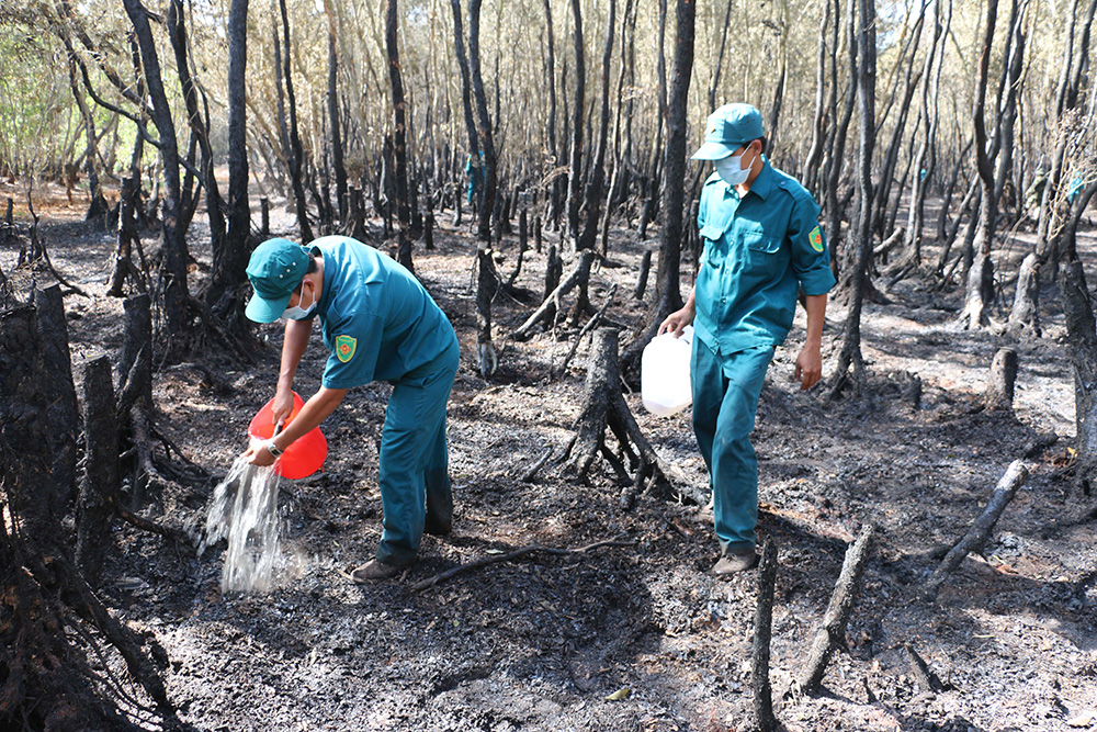 Bảo vệ và phát triển rừng tràm Tân Tuyến - Báo An Giang Online