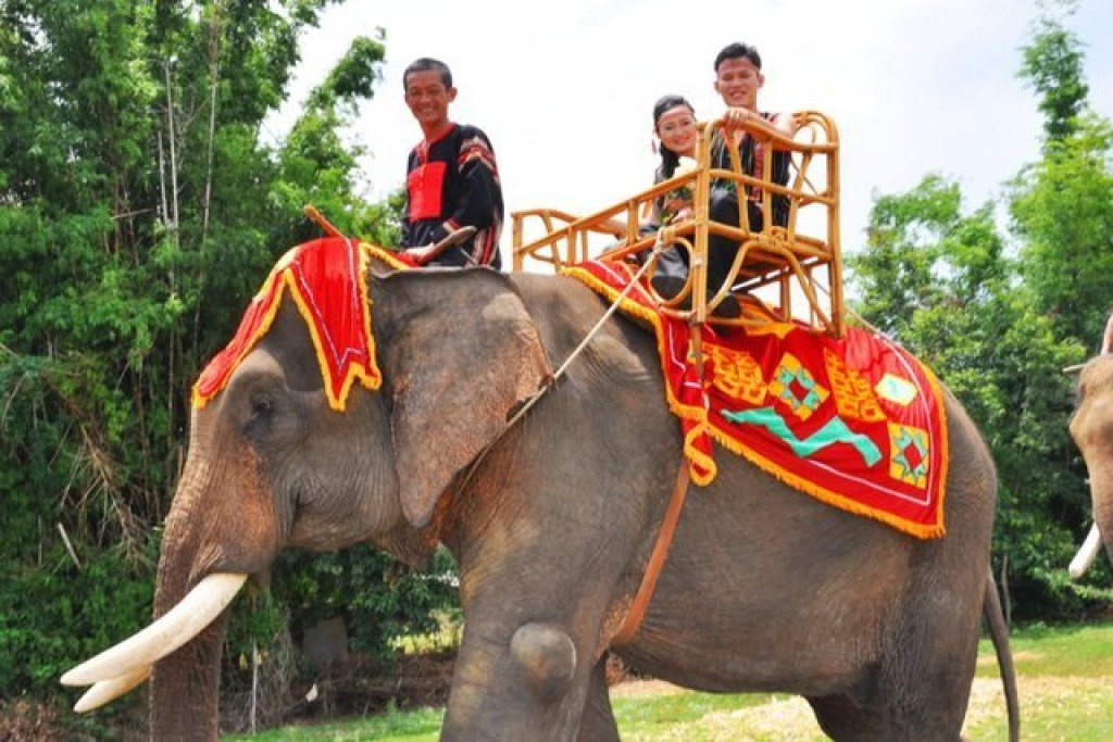 Độc đáo lễ bắt rể cho con gái bằng 14 chú voi khủng ở Tây Nguyên