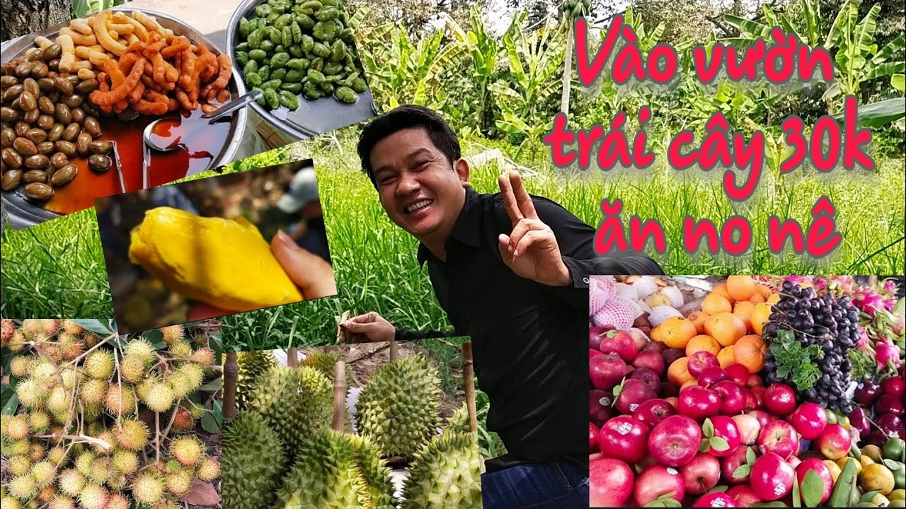 vé 30k vào vườn trái cây Gò Chùa ăn no căng sáng chiều - Visit Tay Ninh  fruit garden - sống&mỉmcười - YouTube