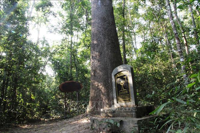 Bảo vệ rừng: Thành lập Vườn quốc gia Lò Gò - Xa Mát - Ảnh thời sự trong  nước - KH-CN Môi trường - Thông tấn xã Việt Nam (TTXVN)