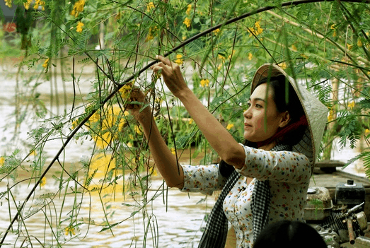 Du lịch An Giang khám phá "Hồ nước trời" - Búng Bình Thiên