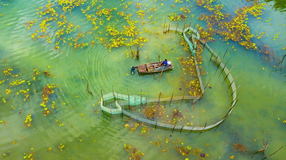 Khu bảo tồn thiên nhiên đất ngập nước Vân Long - Báo Quảng Ninh điện tử