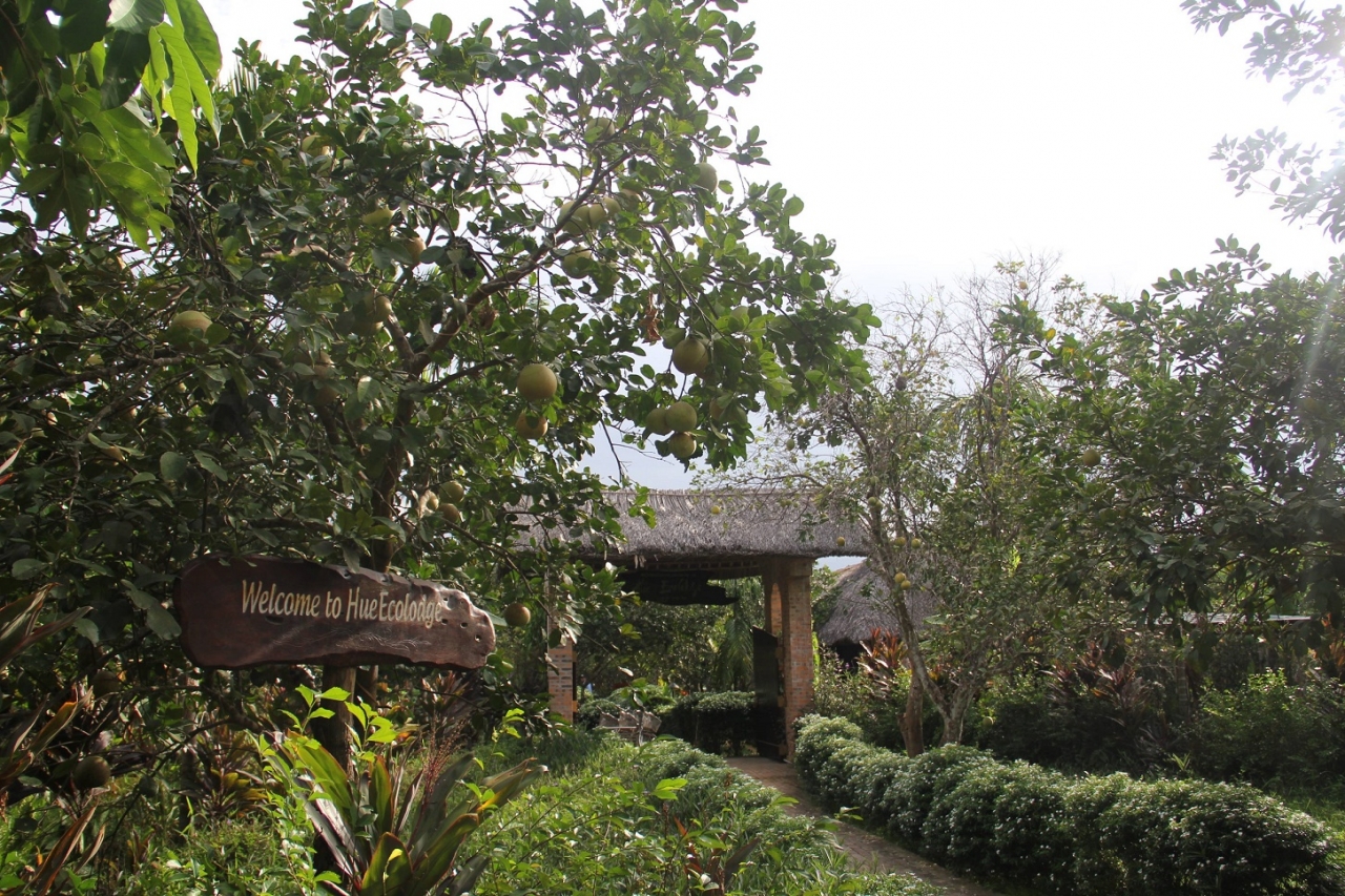 Thừa Thiên Huế: Công nhận điểm du lịch nhà vườn Lương Quán - Nguyệt Biều