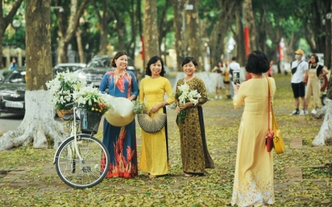 Loa kèn cuối mùa trên con đường lãng mạn nhất Hà Nội