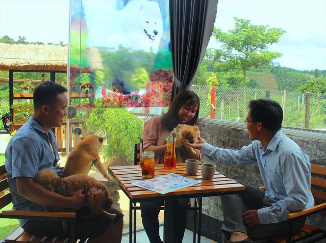 Cà phê thú cưng: Quen mà lạ trên xứ Bazan